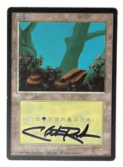 V1185: Forest: MP: 1996: Chinese: Signed/Autographed: Christopher Rush: Black